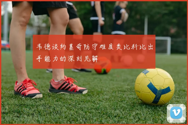 韦德谈约基奇防守难度类比科比出手能力的深刻见解