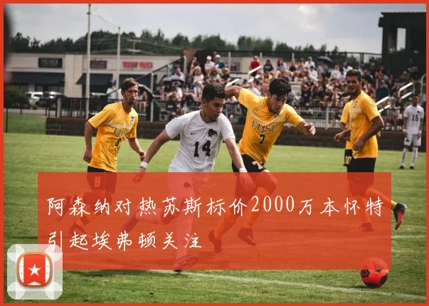 阿森纳对热苏斯标价2000万本怀特引起埃弗顿关注